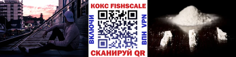 Купить где  Оха  Кокаин Эквадор 