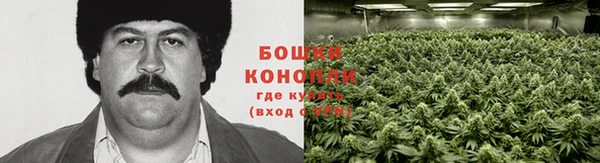 прущие крисы Белокуриха