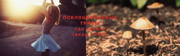 прущие крисы Белокуриха