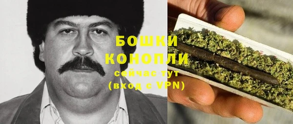 прущие крисы Белокуриха