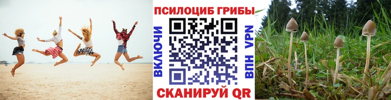 Купить  Оха  Псилоцибиновые грибы мухоморы 